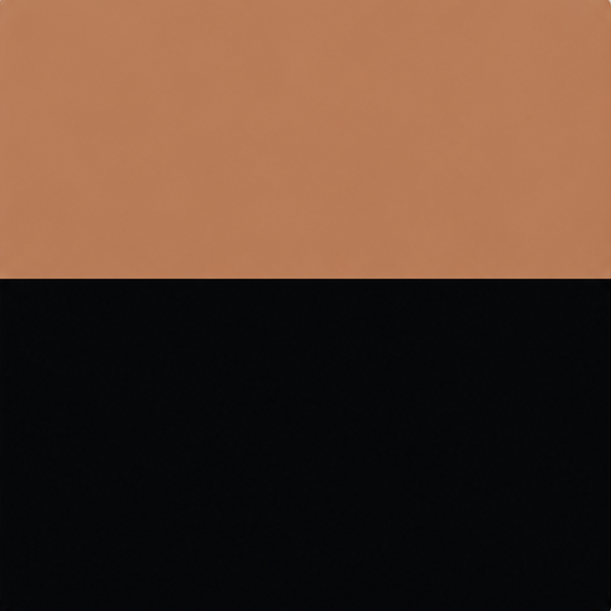 Two-tone tan and black color swatch