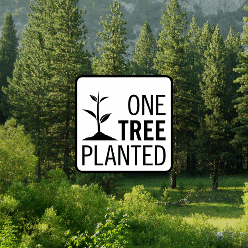 Donation of a Tree San Rocco Italia