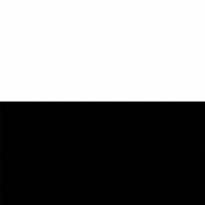 Muestra de color blanco y negro