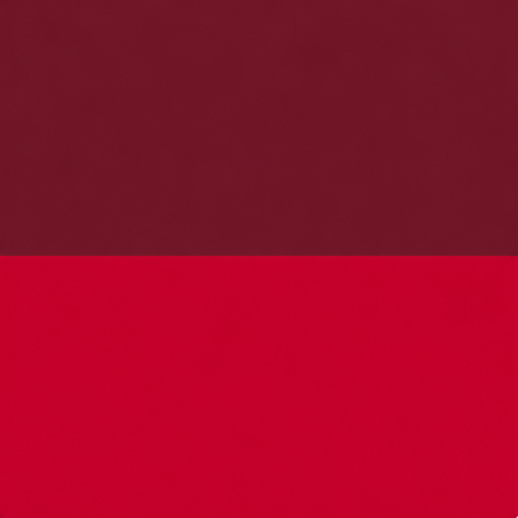 Muestra de color bicolor rojo y burdeos