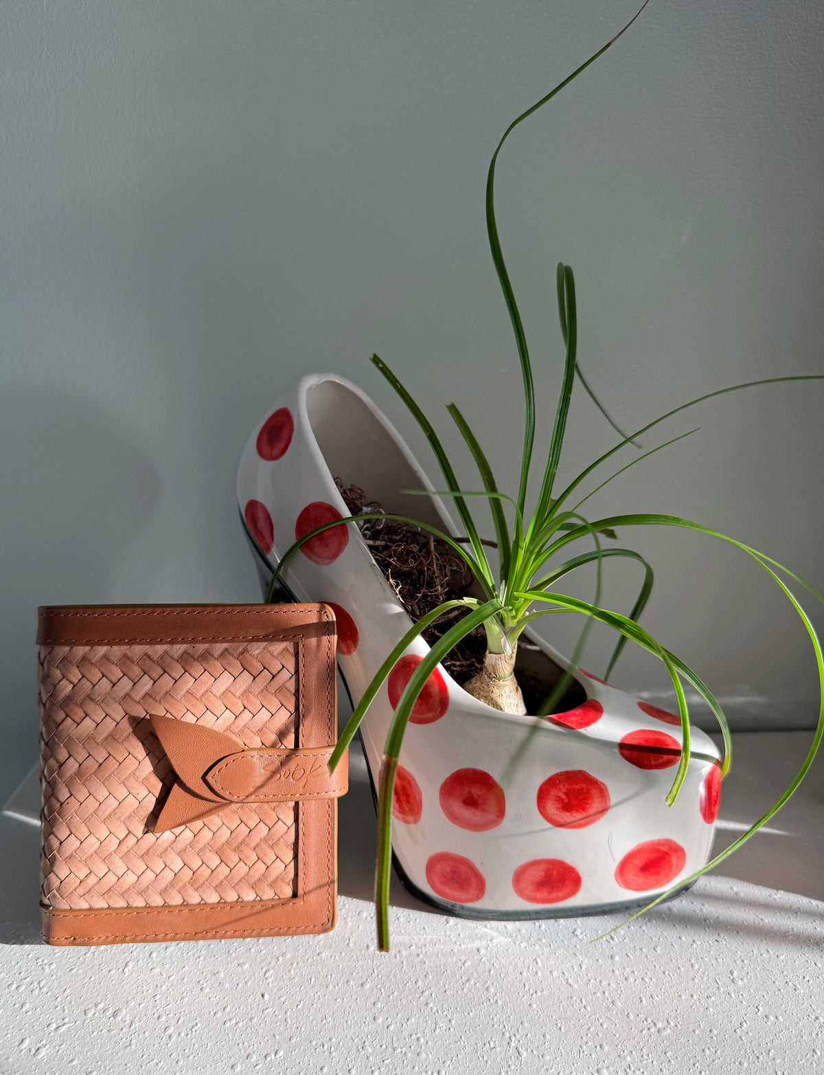 Lumi - Handwoven Leather Wallet | Castanho & Taupe displayed next to a ceramic planter with red polka dots and a green plant inside.